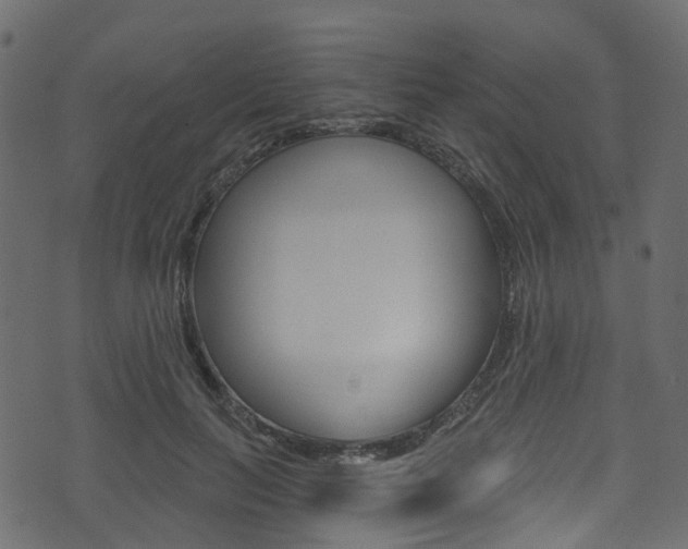 X0000074300647200608250953