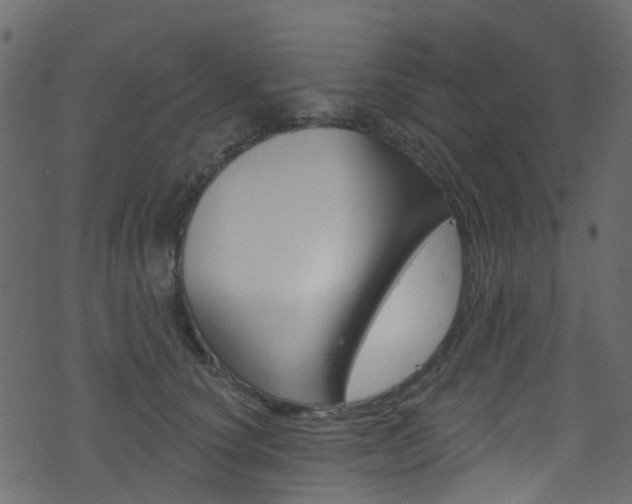 X0000074300660200608250953