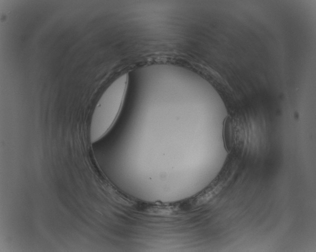 X0000074300661200608250953