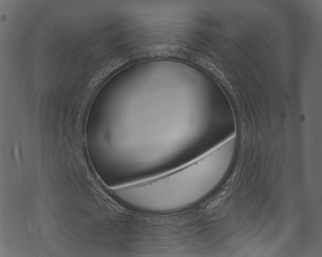 X0000074300673200608250953