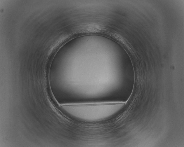 X0000074300677200608250953