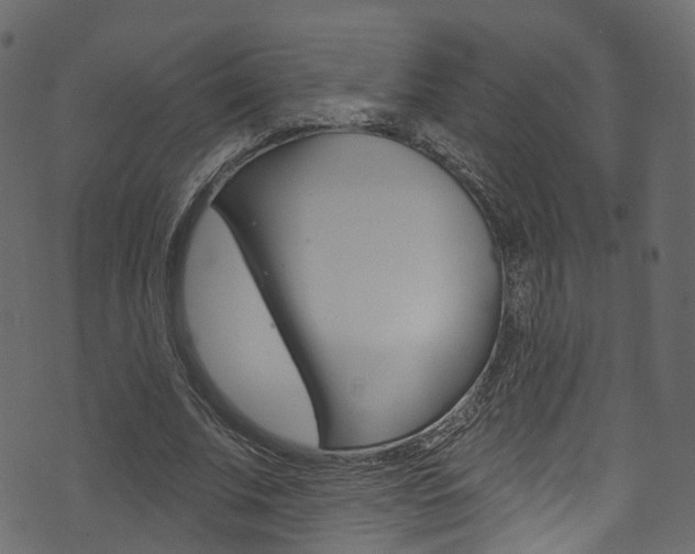 X0000074300679200608250953