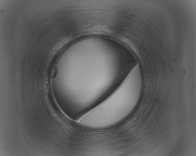 X0000074300680200608250953
