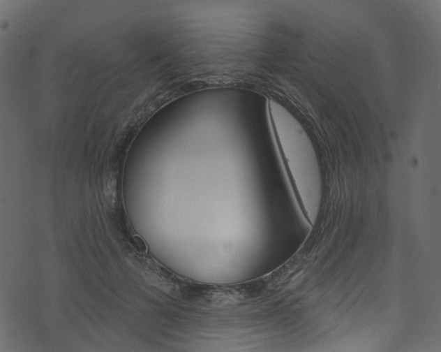 X0000074300697200608250952