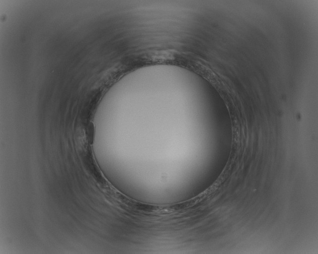 X0000074300704200608250952