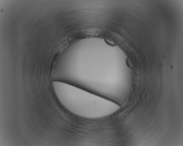 X0000074300707200608250952