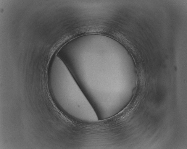 X0000074300721200608250951
