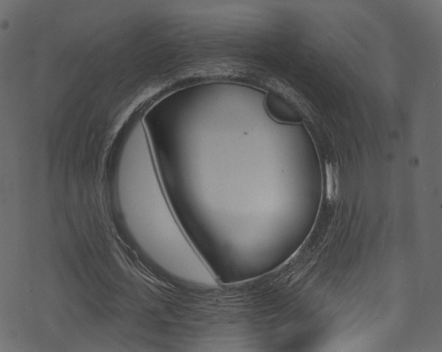 X0000074300723200608250951