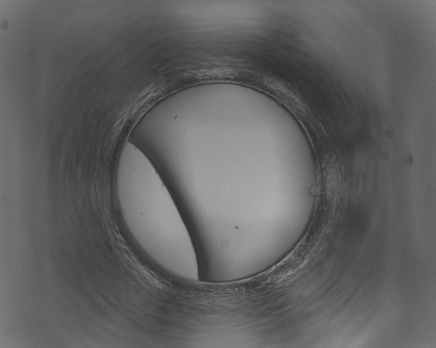 X0000074300729200608250951