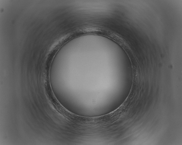 X0000074300732200608250952