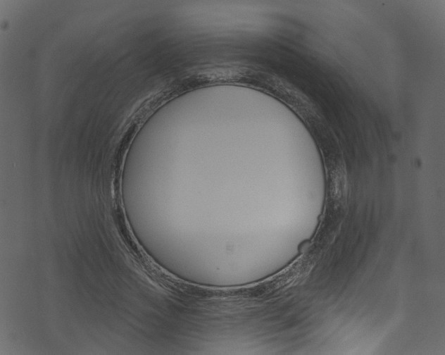 X0000074300733200608250952