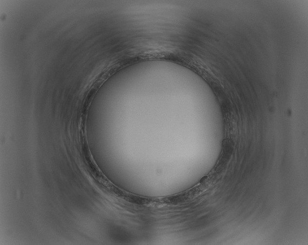 X0000074300742200608250952