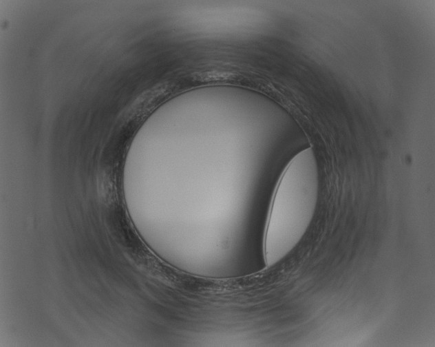 X0000074300743200608250952