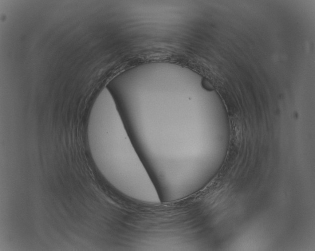 X0000074300745200608250952