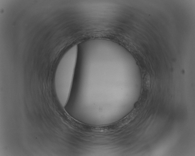 X0000074300746200608250952