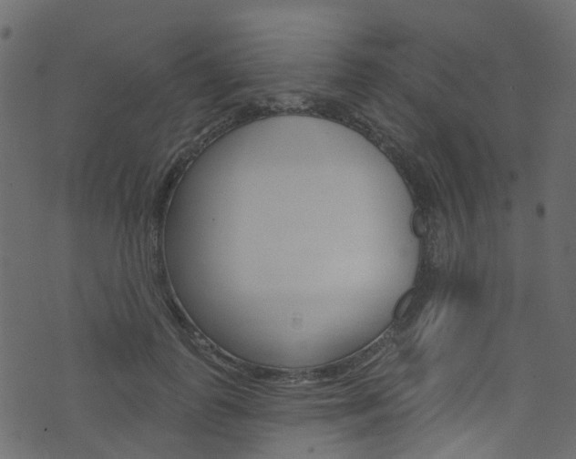 X0000074300747200608250952
