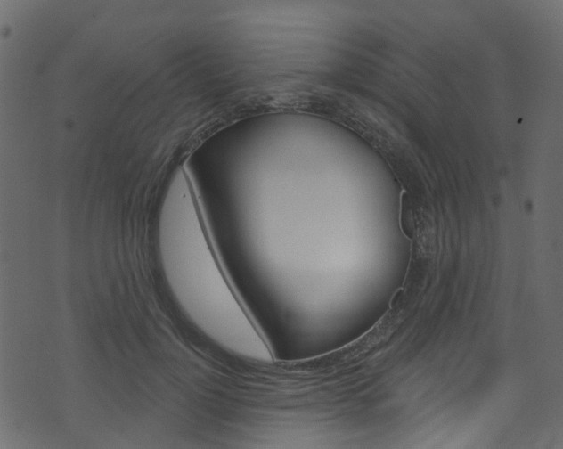 X0000074300748200608250952