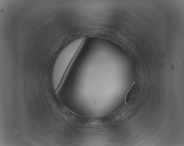 X0000074300750200608250952