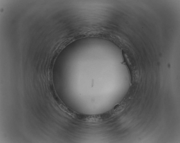 X0000074300756200608250952