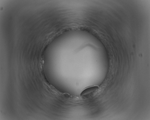 X0000074300768200608250952