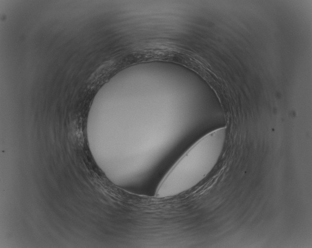 X0000074300771200608250951