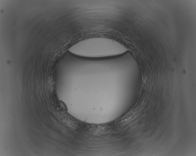 X0000074300772200608250951