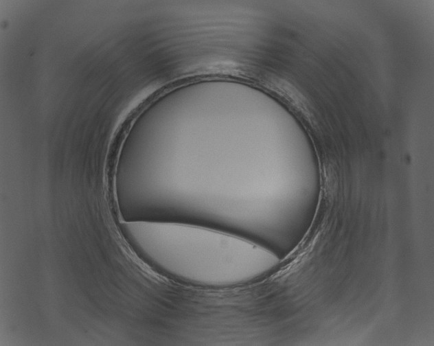 X0000074300780200608250951