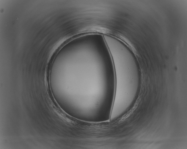 X0000074300788200608250951