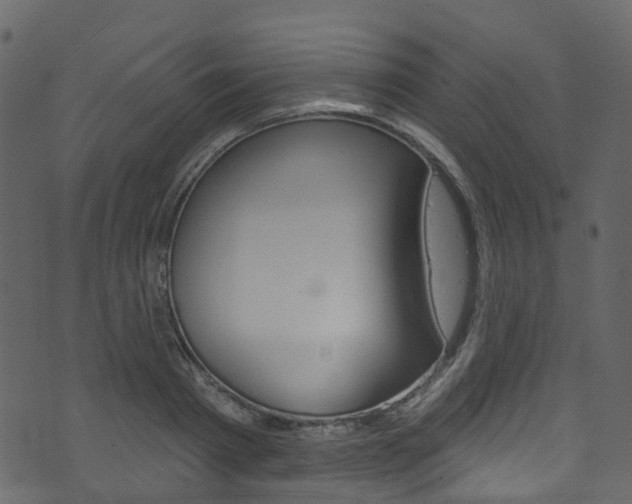 X0000074300793200608250951