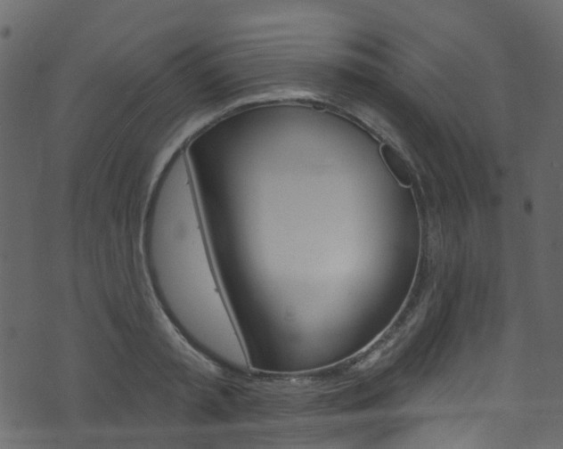 X0000074300797200608250951