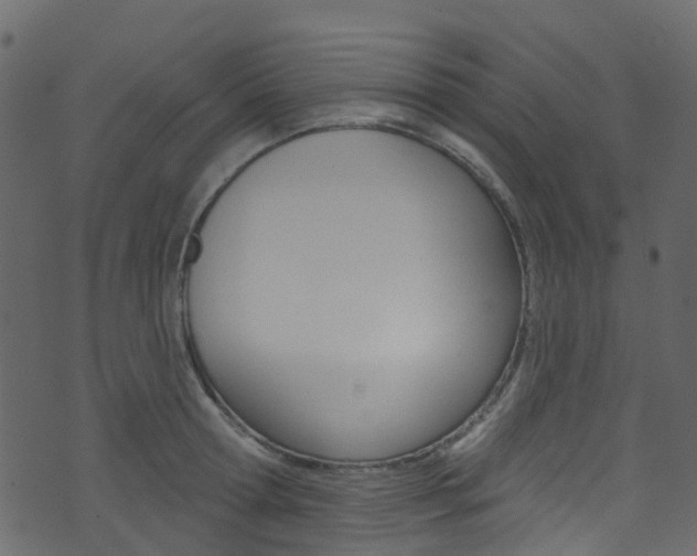 X0000074300802200608250951