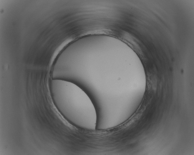 X0000074300804200608250951