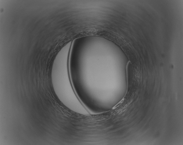 X0000074300818200608250950