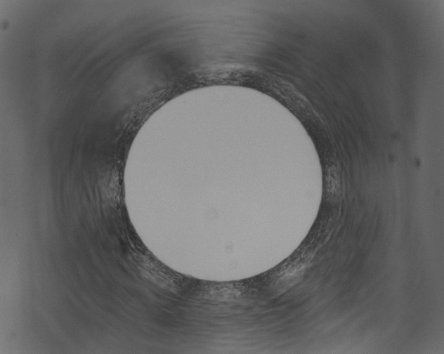 X0000074300820200608250950