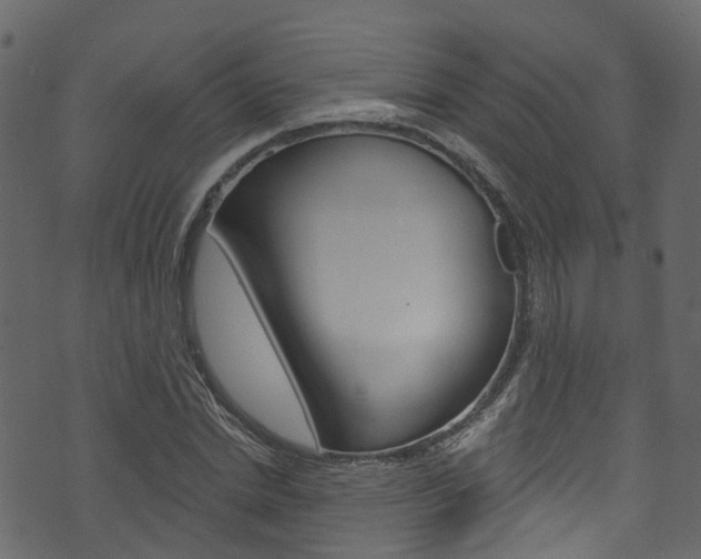 X0000074300830200608250950