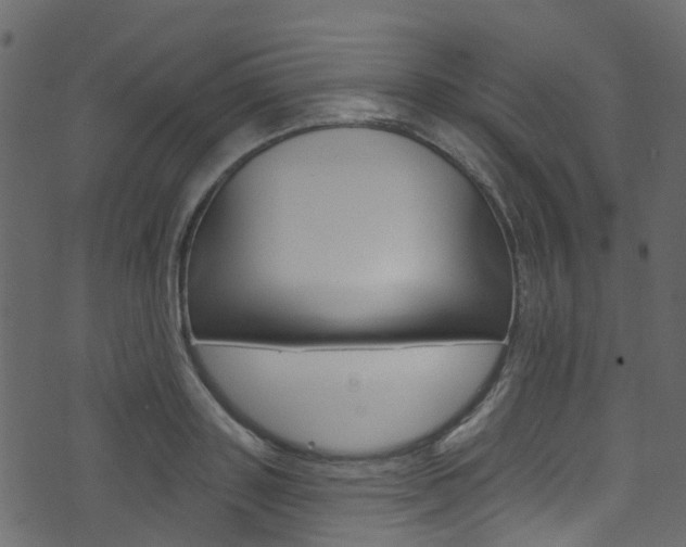 X0000074300843200608250950