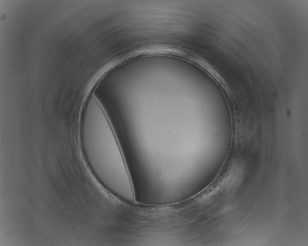 X0000074300853200608250950