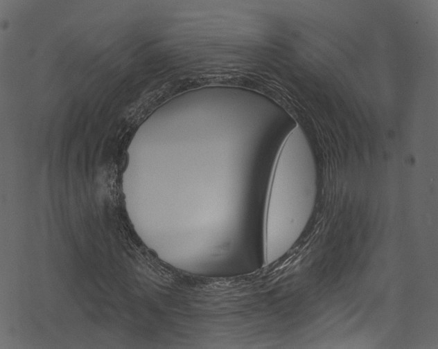 X0000074300867200608250950