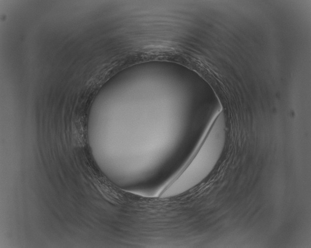 X0000074300868200608250950
