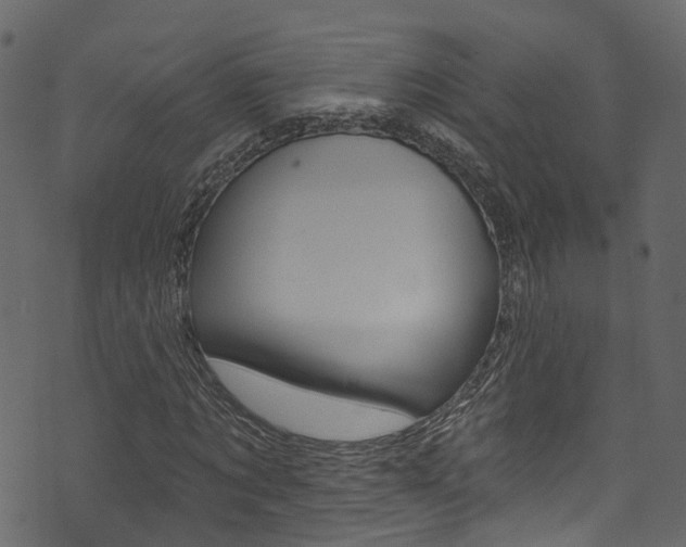 X0000074300869200608250950