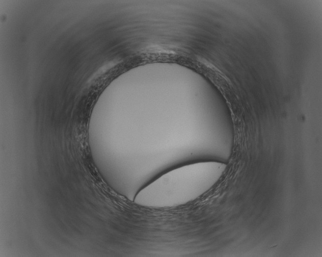 X0000074300870200608250950