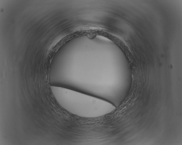 X0000074300871200608250950