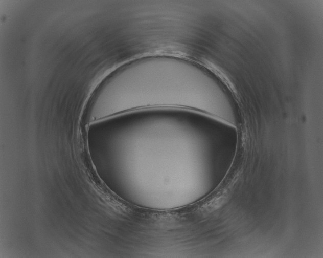 X0000074300876200608250950