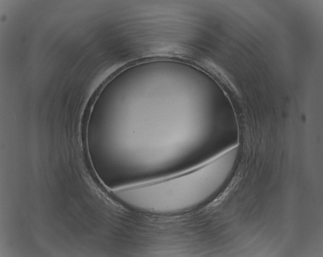 X0000074300884200608250949