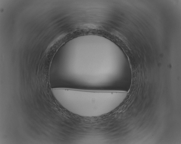 X0000074300919200608250948