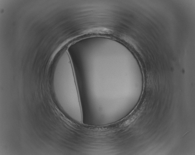 X0000074300923200608250948