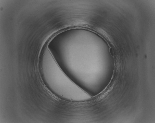 X0000074300924200608250948