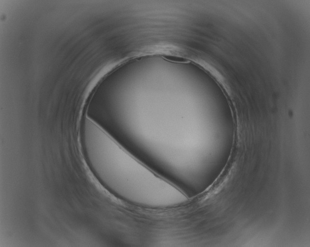 X0000074300949200608250949