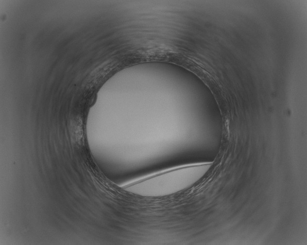 X0000074300963200608250948