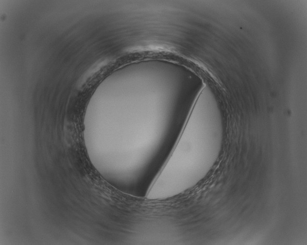 X0000074300967200608250948